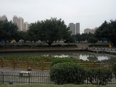 -光明港公园
