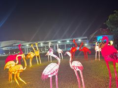 -渔家火锅·海鲜自助餐·演艺(亚龙湾天域酒店)