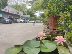 -罗浮山·罗园农庄