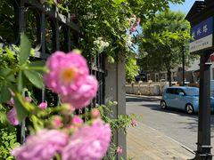 -天津五大道文化旅游区