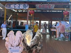 -蓝湾碧波·老字号·疍家非遗海上餐厅