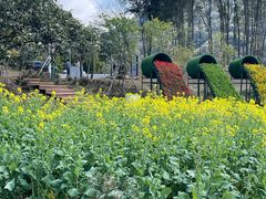-广州市石门国家森林公园