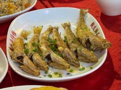 -蛇口康乐快餐鱼仔档(翠苑小区店)