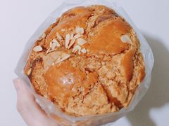 菠萝包-85度C(北京八角物美店)