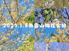 -广东天露山旅游度假区