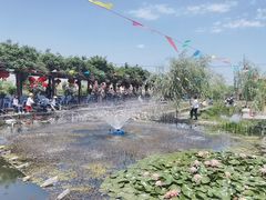 -同銮特种养殖场·龙虾垂钓