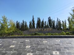 -永定河休闲森林公园