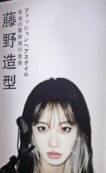 点击看大图 -藤野造型