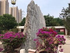 门面-燕郊植物园