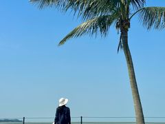 -野狸岛