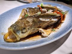 -33号大院·青岛本帮菜(五四广场店)