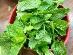 -攀枝花·任德琼·盐边羊肉米线