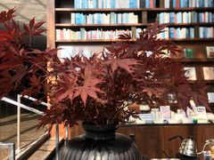 -深圳湾木棉花酒店