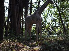 -海上田园