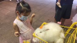 -Moni星球萌宠·小马宝莉·灵蛇·高端高阶全萌宠互动体验俱乐部(红豆国际广场店)