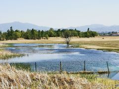 -野鸭湖国家湿地公园