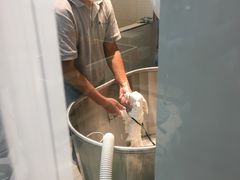 -PETKIT 小佩宠物·低压洗护·美容·寄养(安远店)