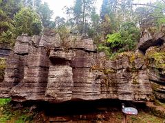 -梭布垭石林景区