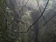 -梦幻奥陶纪景区