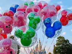 -上海迪士尼度假区