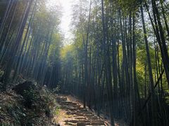 -莫干山风景区