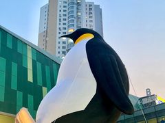 -大悦城(沈阳中街店)