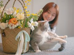 -INSDREAM FLOWER 鲜花预定·花艺培训