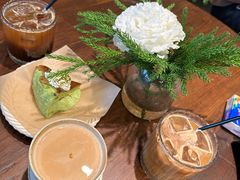 -自由生长植物工作室(深港花卉中心店)