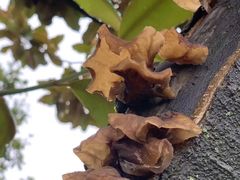 -三江森林温泉度假区