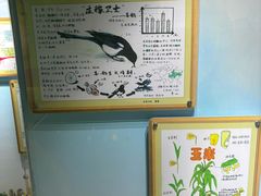 -上海昆虫博物馆