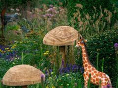 -上海共青森林公园