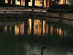 -雅达·阳羡溪山小镇中心