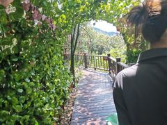 -石燕湖生态旅游景区