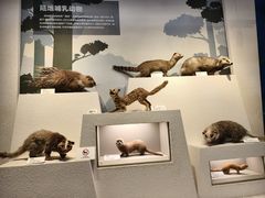 -舟山博物馆