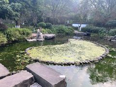 -重庆园博园
