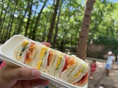 -白水寺森林公园