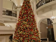 -LONG BAR 廊吧(外滩华尔道夫酒店)