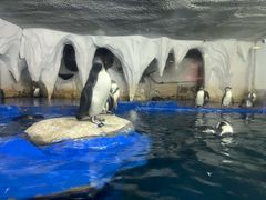 -太平洋海底世界