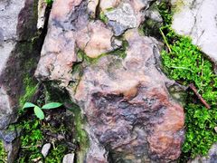 -紫金山天文台