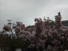 -青岛鑫江温德姆酒店