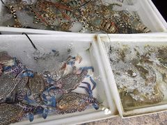 -拉威海鲜市场