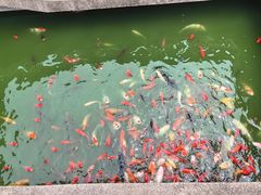 -茂陵博物馆