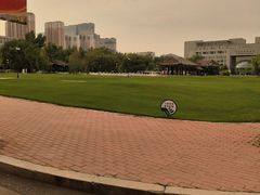 -东北农业大学