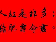 -明红蹄花创始老店(糍粑店街店)