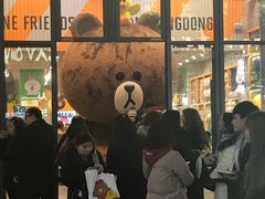 -line friends(明洞旗舰店)
