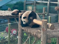 -大连森林动物园