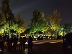 -大雁塔北广场音乐喷泉