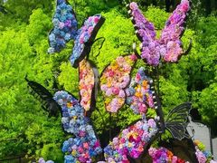 -上海共青森林公园