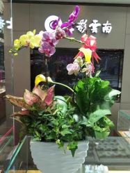 点击看大图 -北京七彩云南翡翠珠宝旗舰店(月坛店)