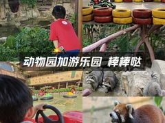 -长鹿旅游休博园